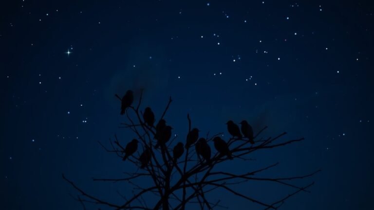 nighttime bird chirping meanings