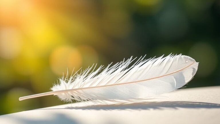 spiritual significance of feathers